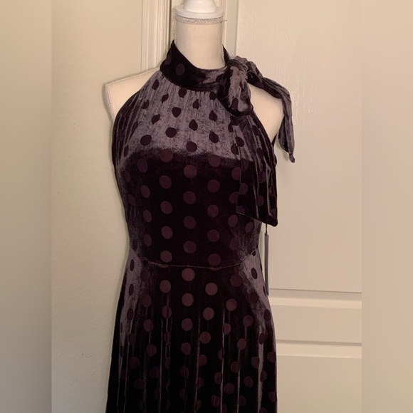Calvin Kline Velvet Polka Dot Dress - Picture 2 of 12